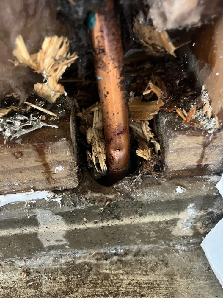 Leak located and repaired on County Road 3807 in Bullard, Texas